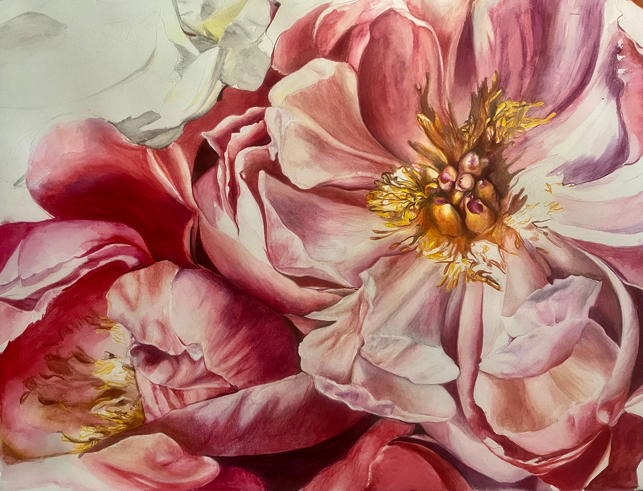 In person - (Intermediate) -  Elevate your Watercolour Pencil skills Workshop - ELLIS HOUSE ART CENTRE - PERTH